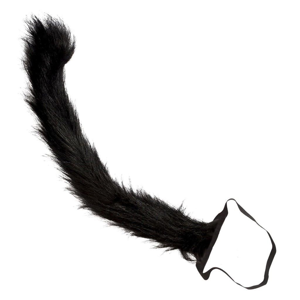 Cola de Gato Negro – Widmann
