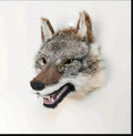 Wolf Mask