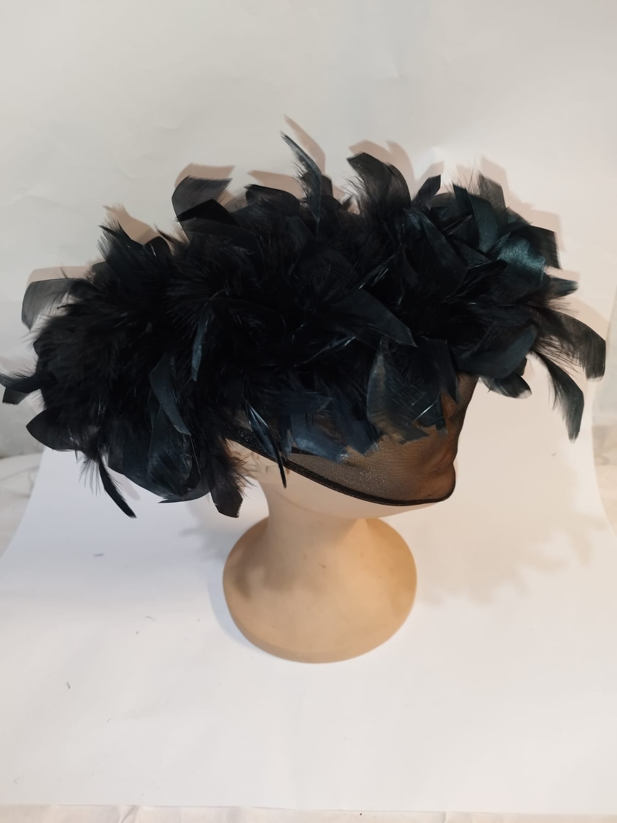 Pamela Widow with Black Feathers