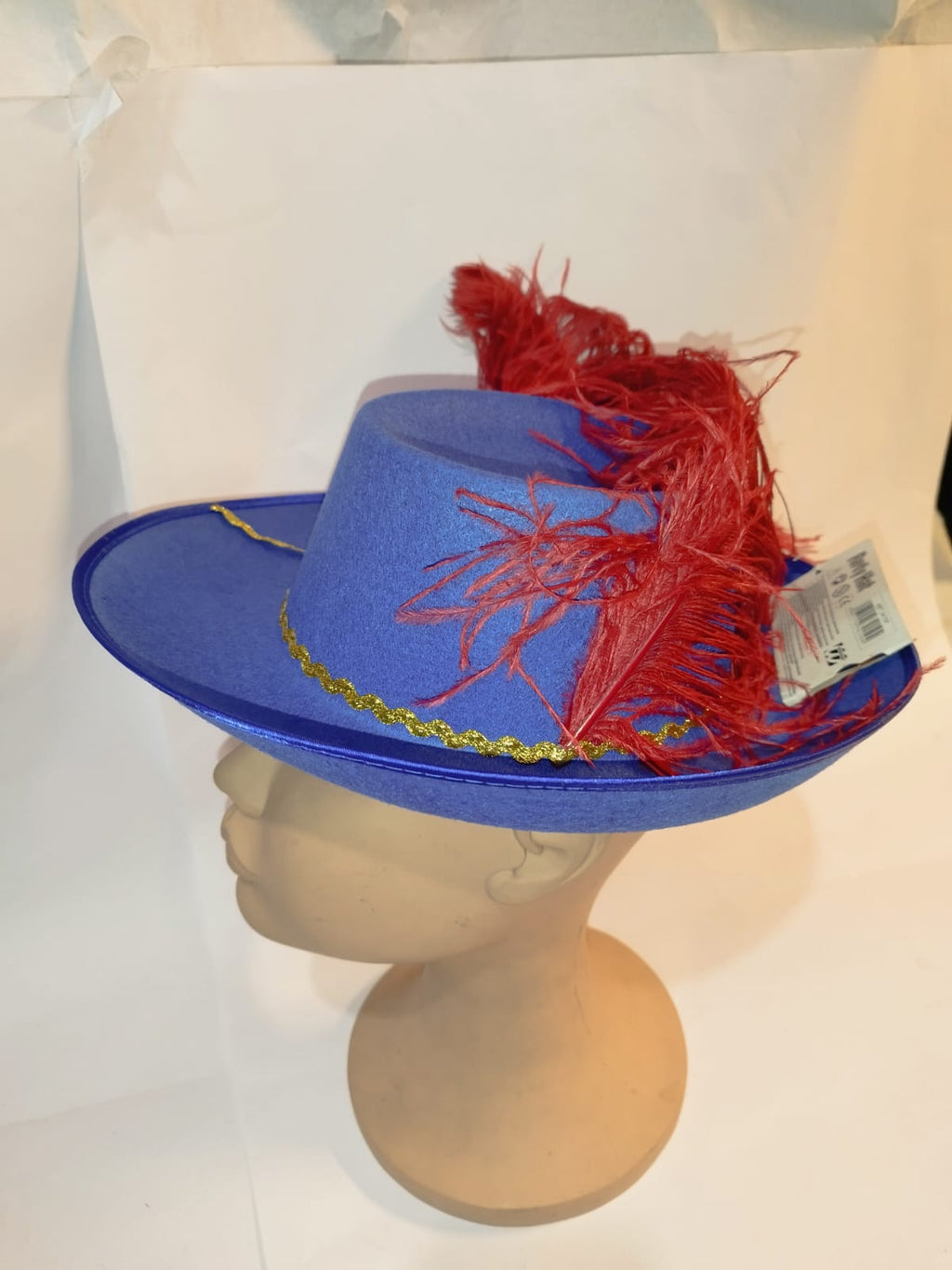 Musketeer Hat With Feather