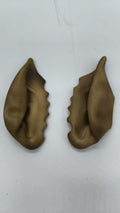 EARS 1070
