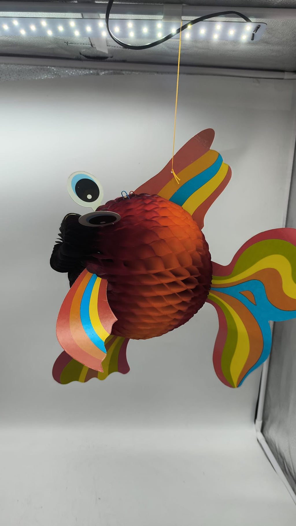 Fish Lantern
