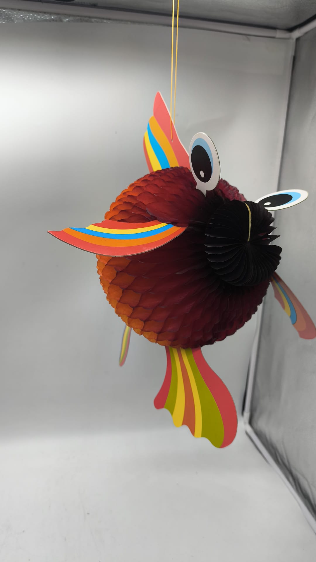Fish Lantern