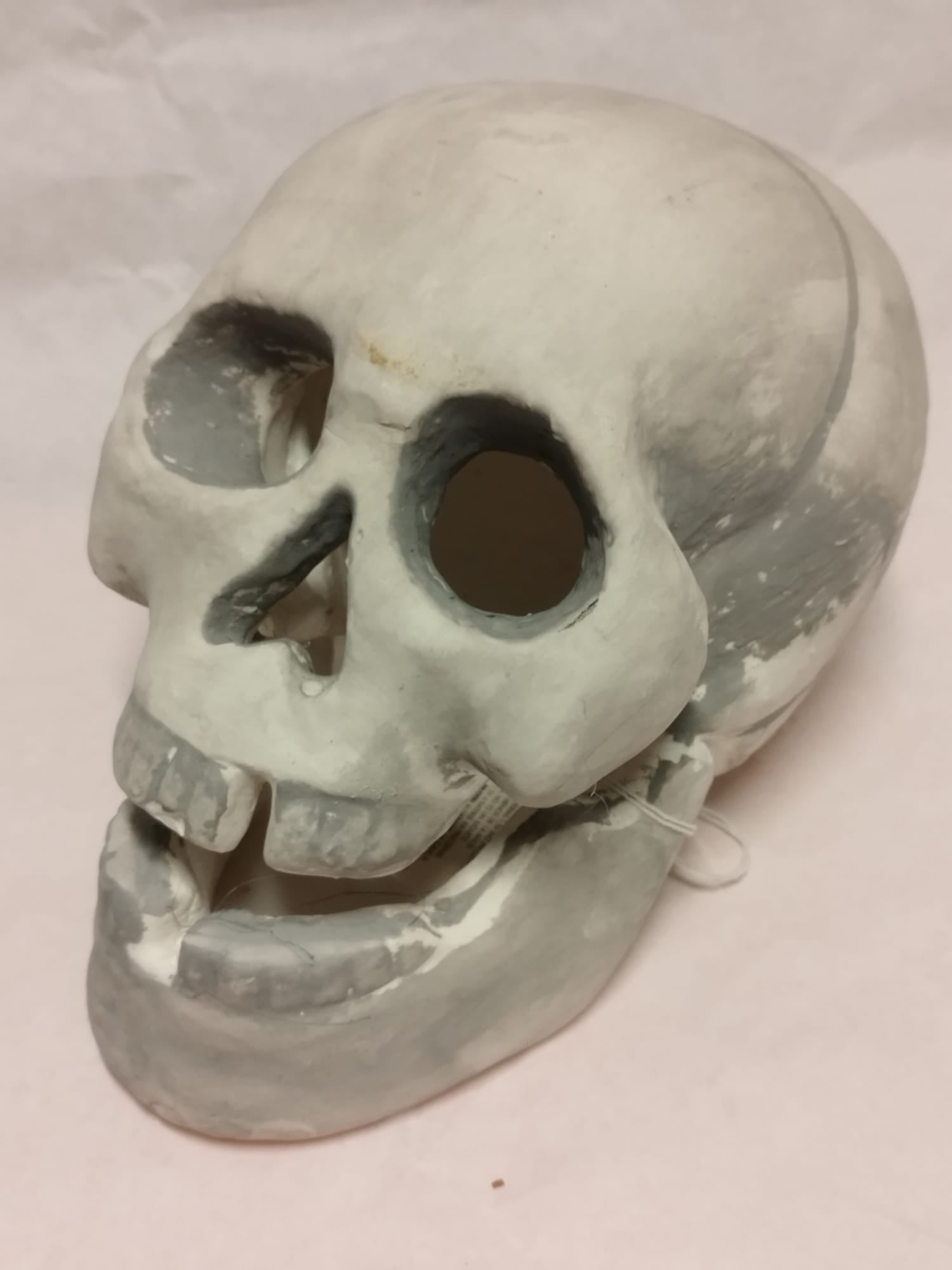 Calavera Luminosa Decorativa