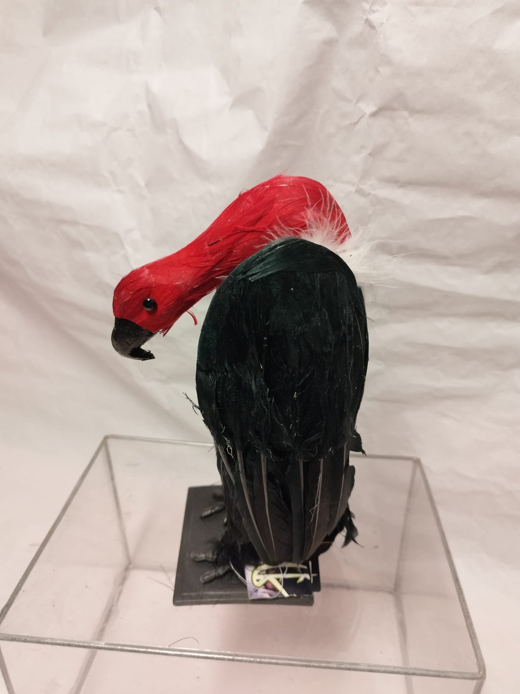 Buitre Decorativo con Plumas Halloween