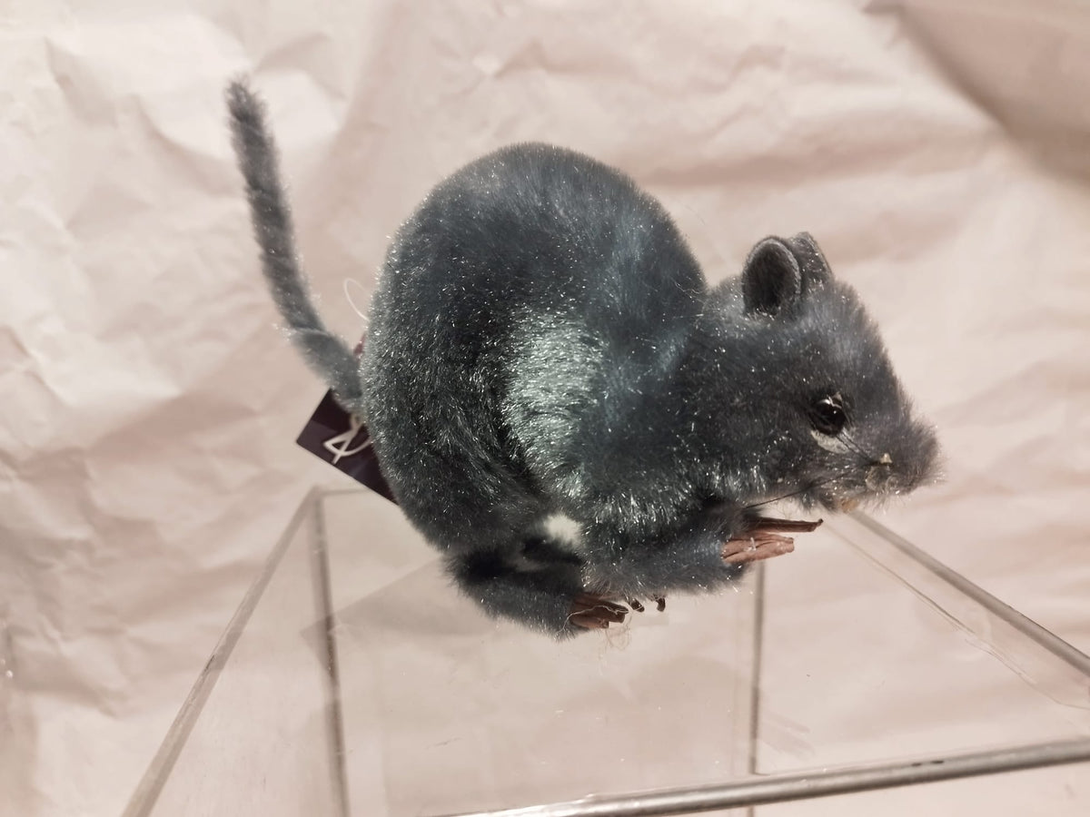 RAT MEASUREMENT WID
