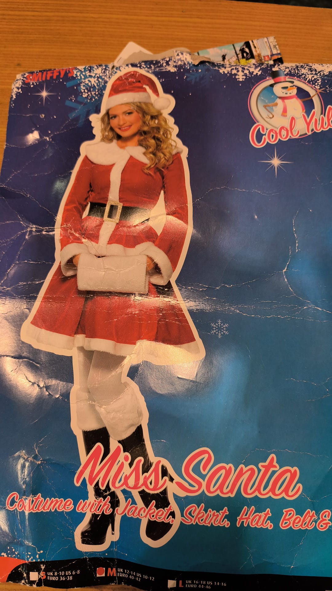 Mrs. Claus Costume 3