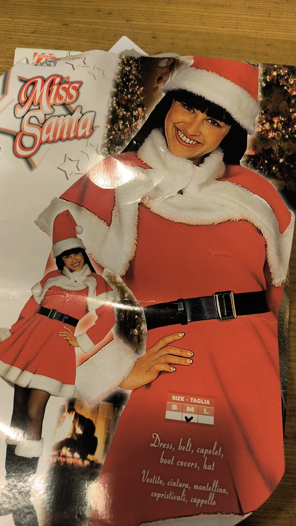 Mrs. Claus Costume 2