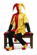 Adult Jester Costume