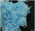 Boa de Plumas Celeste